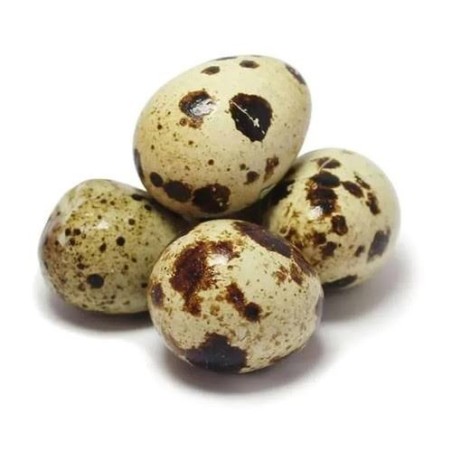 Quail Eggs